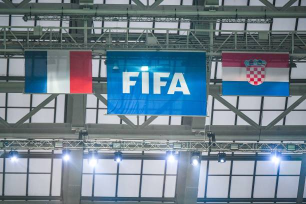 鲜血液的 鲜血液的